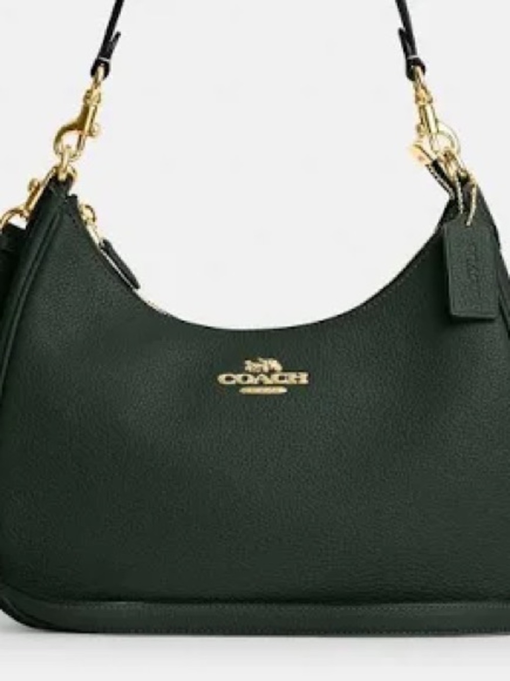 RARE Coach Amazon Green Teri Hobo
